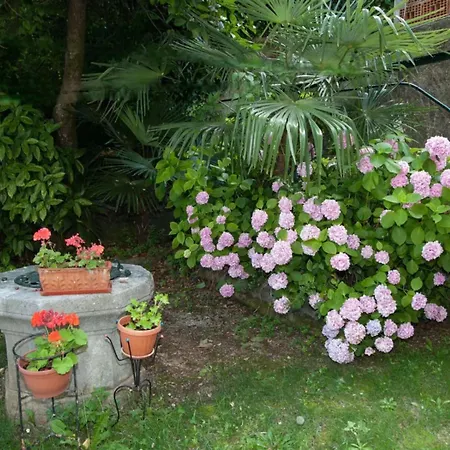 公寓 Volosko For Two 奥帕提亚